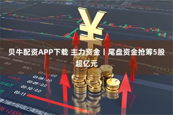 贝牛配资APP下载 主力资金丨尾盘资金抢筹5股超亿元