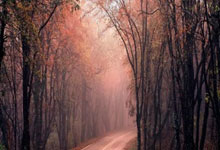 线下炒股配资网站:股票买入6种委托方式详解-31个关节自由度 宇树即将发布“芭蕾舞者”机器人