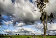 昆明配资机构名单查询:股市加杠杆怎么操作-重磅药品销量破百亿 创新药“一哥”持续盈利仍存隐忧