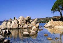 网上怎么进行股票开户:用手机怎么买股票-AI唱主角！特斯拉发布“宏图4.0” 马斯克：未来80%价值来自机器人